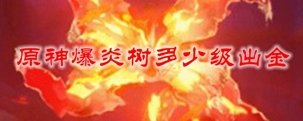 原神爆炎树多少级出金