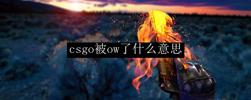 csgo被ow了什么意思