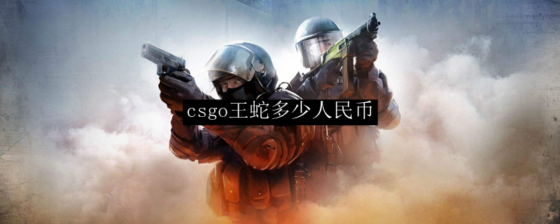 csgo王蛇多少人民币