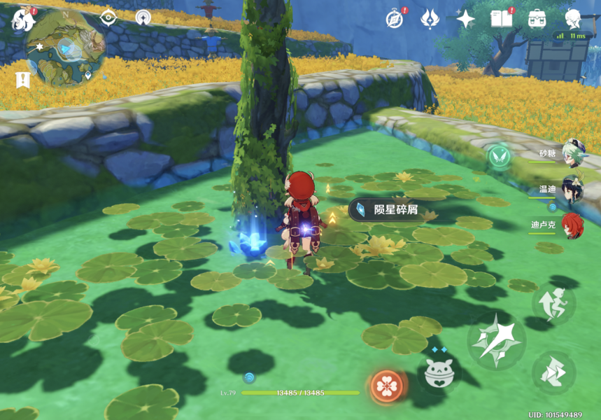 原神轻策的熄星陨星碎屑在哪