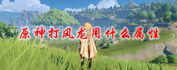 原神打风龙用什么属性