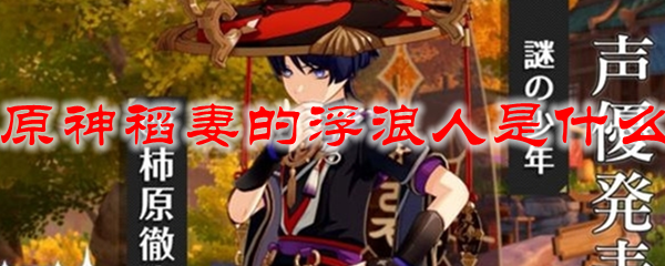 原神稻妻的浮浪人是什么