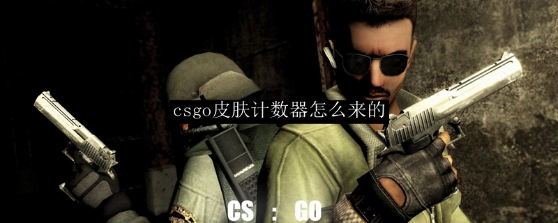 csgo皮肤计数器怎么来的