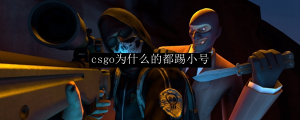 csgo为什么的都踢小号