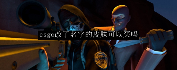 csgo改了名字的皮肤可以买吗