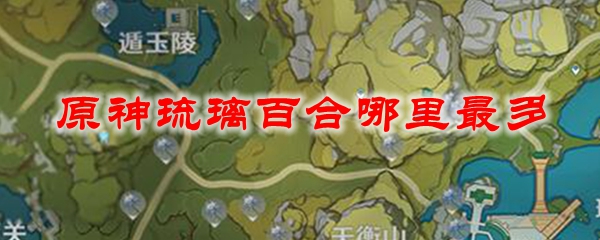 原神琉璃百合哪里最多