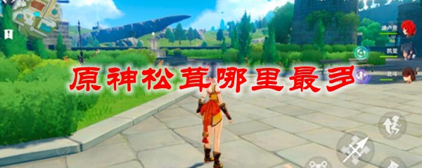 原神松茸哪里最多