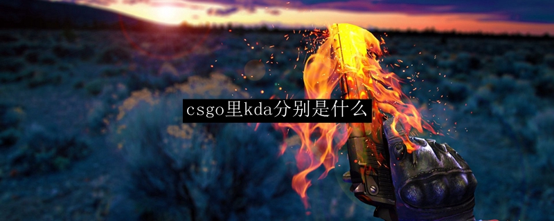 csgo里kda分别是什么