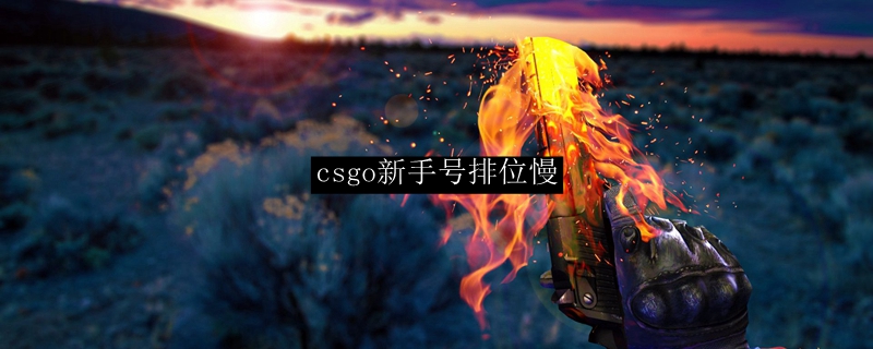 csgo新手号排位慢