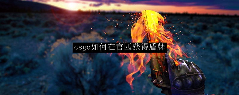 csgo如何在官匹获得盾牌