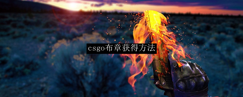 csgo布章获得方法