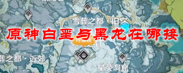 原神白垩与黑龙在哪接