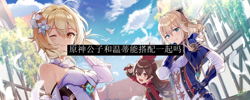 原神公子和温蒂能搭配一起吗