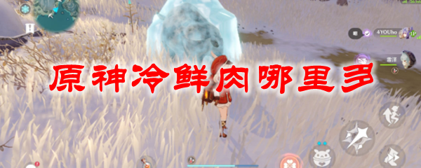 原神冷鲜肉哪里多