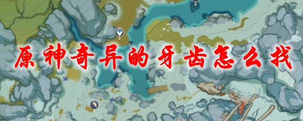 原神奇异的牙齿怎么找