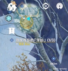 原神奇异的牙齿怎么找