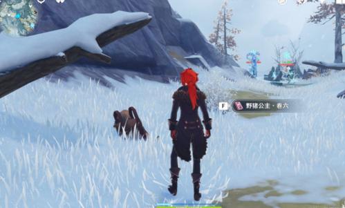 原神雪山喂狐狸任务怎么做