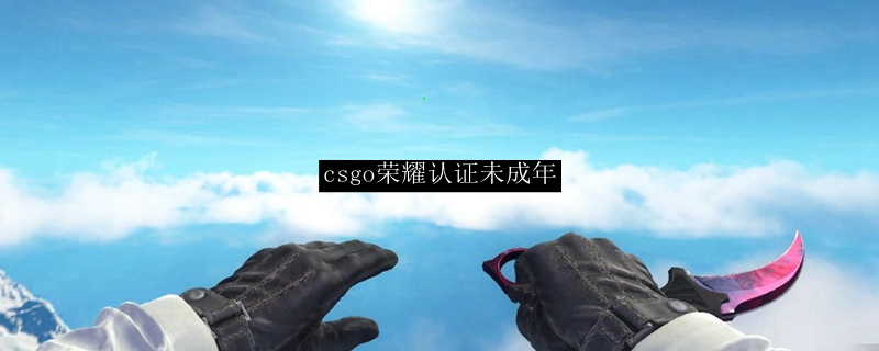 csgo荣耀认证未成年