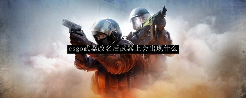 csgo武器改名后武器上会出现什么