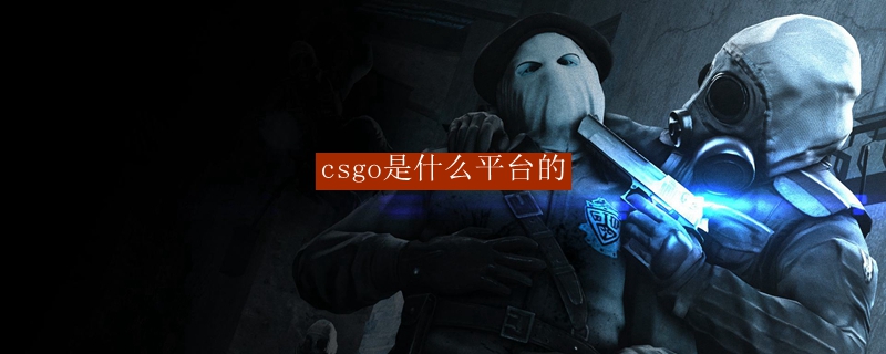 csgo是什么平台的