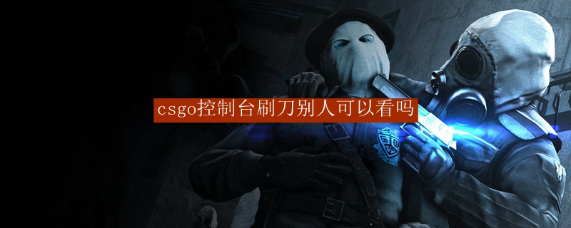 csgo控制台刷刀别人可以看吗