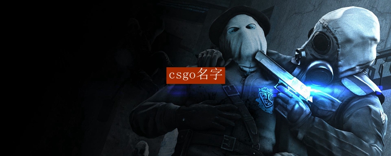 csgo名字