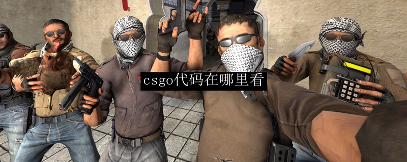 csgo代码在哪里看