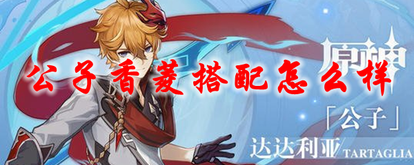 原神公子香菱搭配怎么样