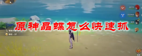 原神晶蝶怎么快速抓