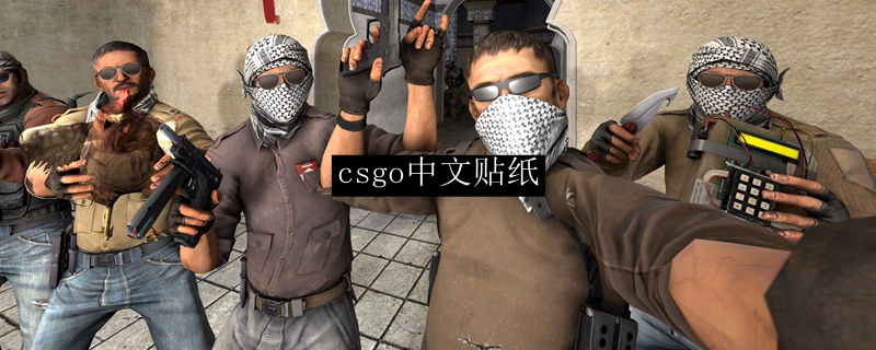 csgo中文贴纸