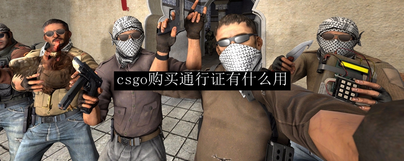 csgo购买通行证有什么用