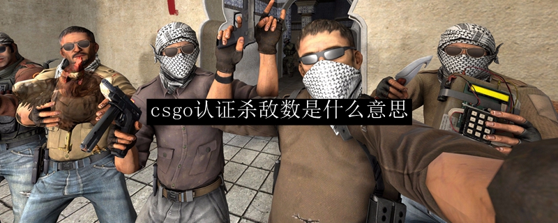 csgo认证杀敌数是什么意思