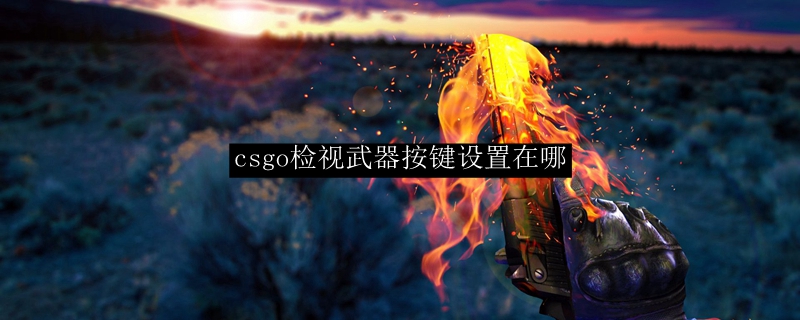 csgo检视武器按键设置在哪