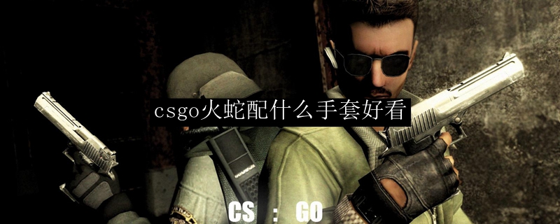 csgo火蛇配什么手套好看