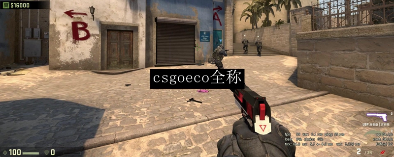 csgoeco全称