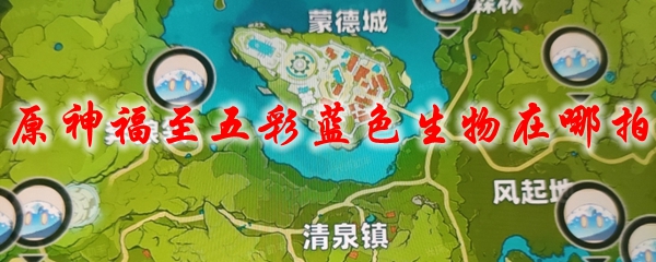 原神福至五彩蓝色生物在哪拍