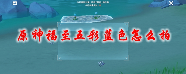 原神福至五彩蓝色怎么拍
