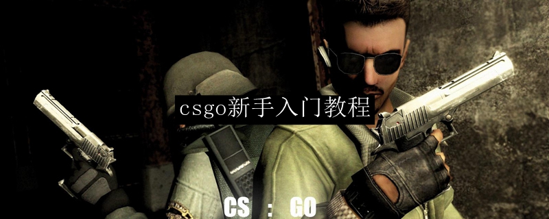 csgo新手入门教程