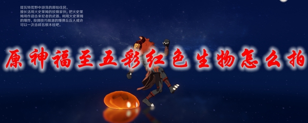 原神福至五彩红色生物怎么拍