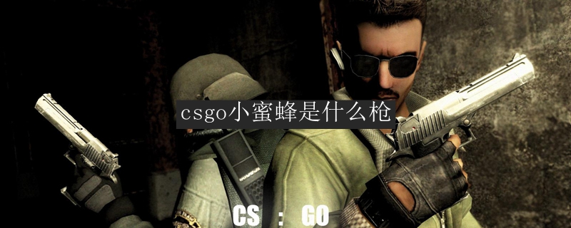 csgo小蜜蜂是什么枪