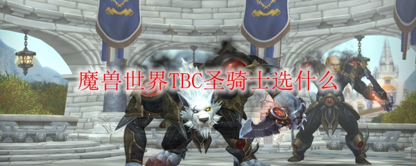 魔兽世界TBC圣骑士选什么