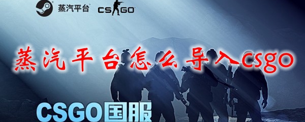 蒸汽平台怎么导入csgo