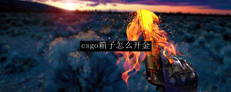 csgo箱子怎么开金