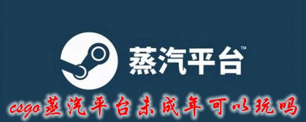 csgo蒸汽平台未成年可以玩吗