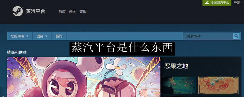 蒸汽平台是什么东西