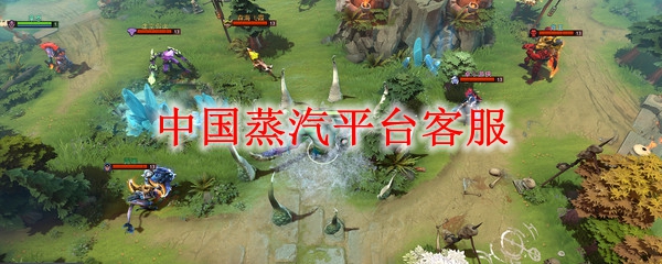 中国蒸汽平台客服