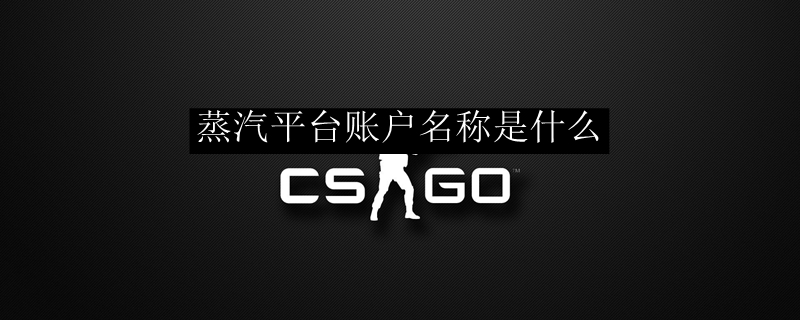 蒸汽平台账户名称是什么