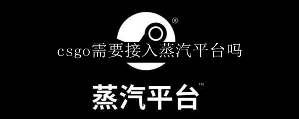 csgo需要接入蒸汽平台吗