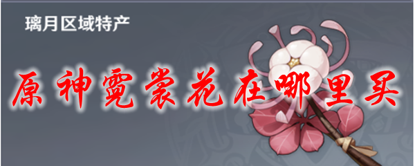 原神霓裳花在哪里买