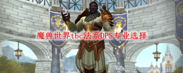 魔兽世界tbc法系DPS专业选择